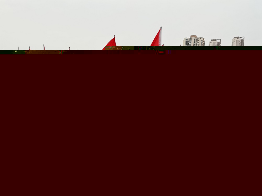 2.紅旗隊